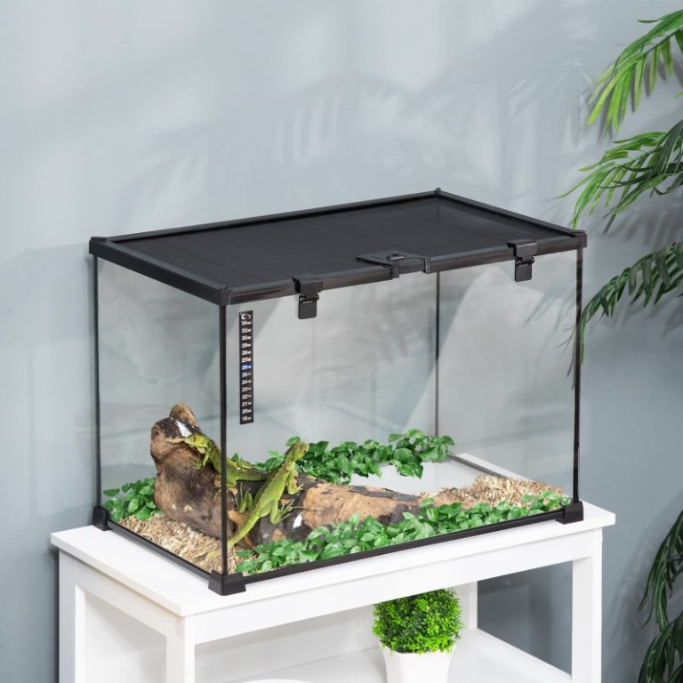 terrario para reptil