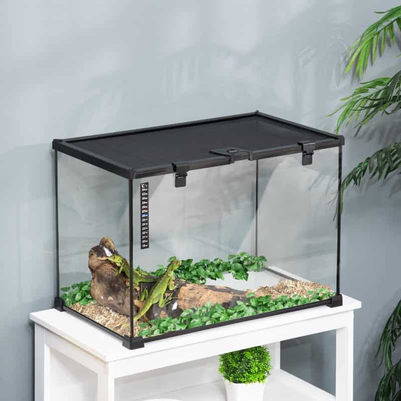 terrario para reptil