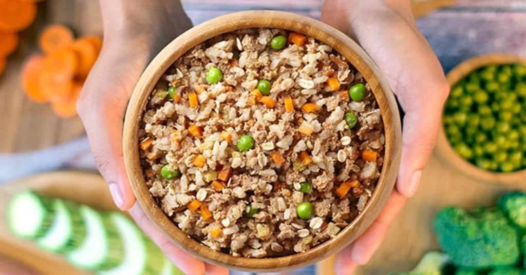 Ração seca para gatos