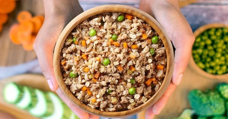 Ração seca para gatos