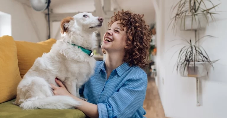 Pet Novo em Casa