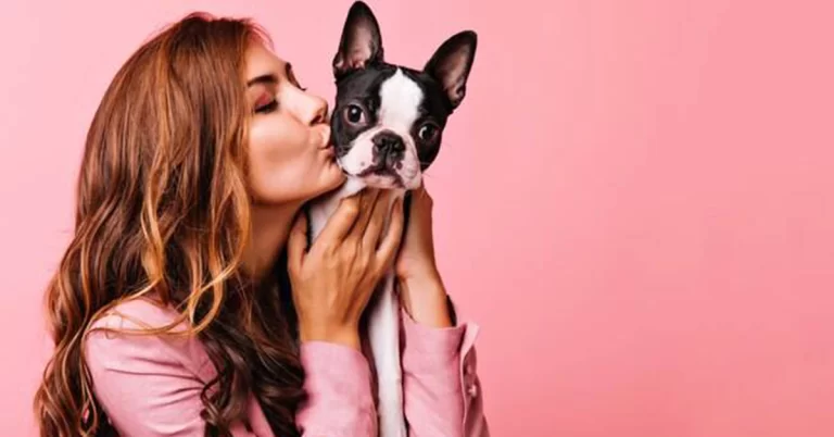Outubro Rosa Pet