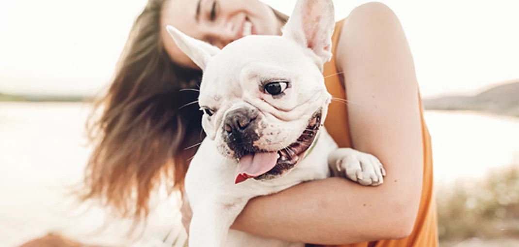 cuidados com pets no verão