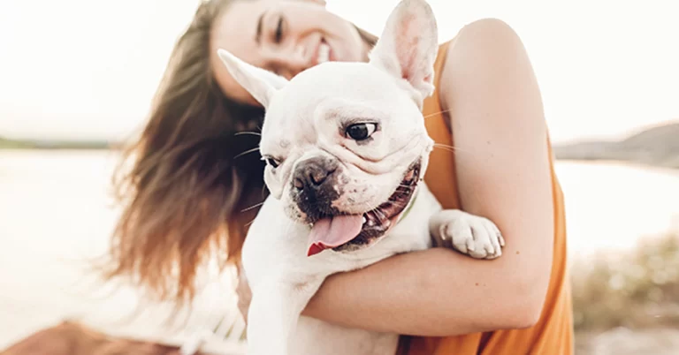 cuidados com pets no verão