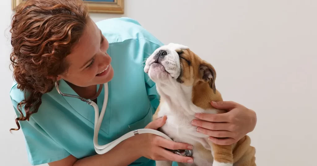 Doenças cardiovasculares em pets: conheça produtos que auxiliam no tratamento