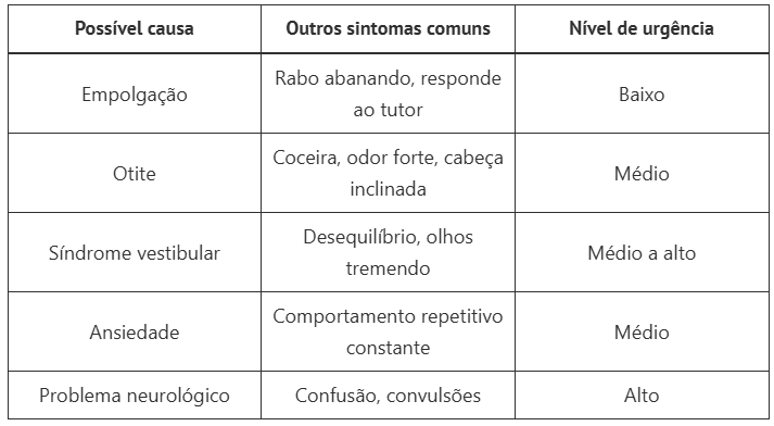 cachorro andando em círculos