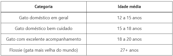 gata mais velha do mundo