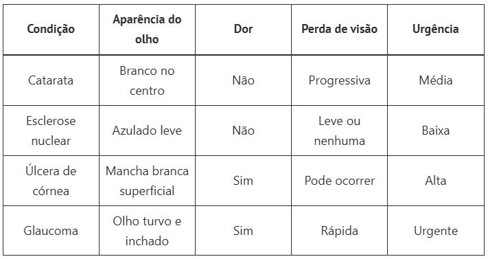 mancha branca no olho do cachorro