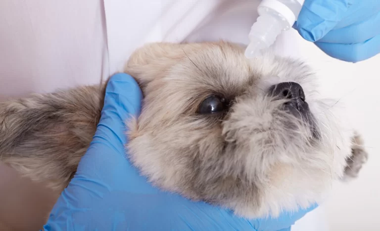 o que é a lágrima ácida