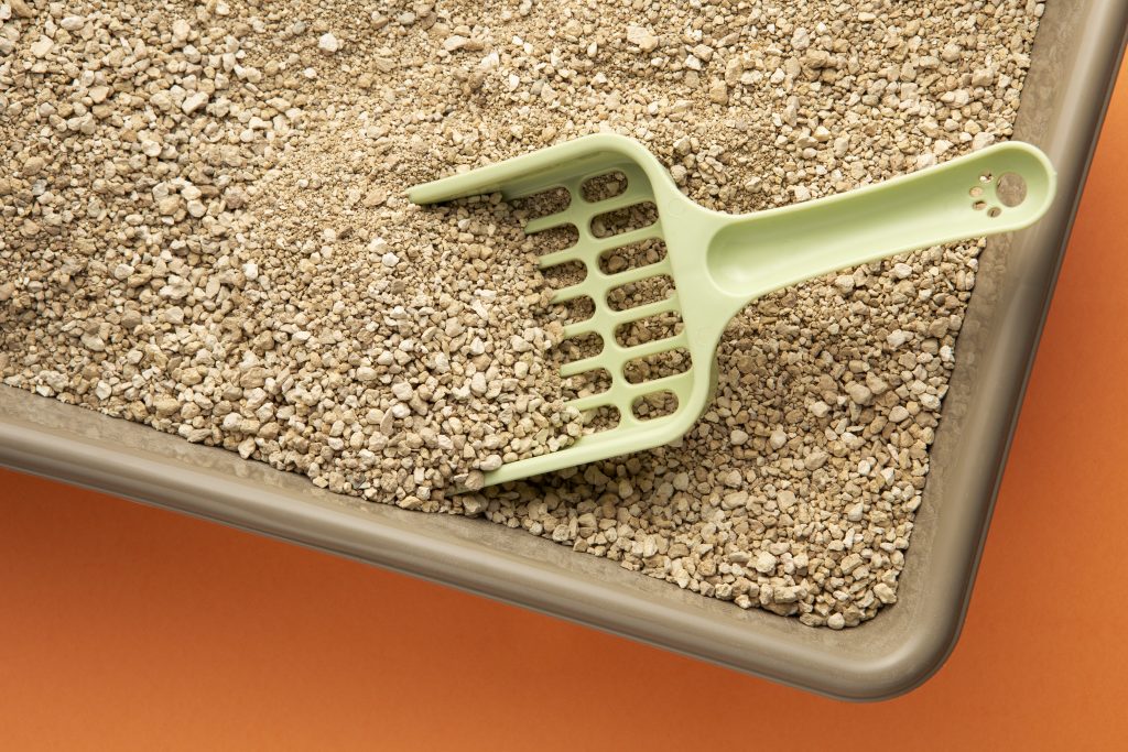 Qual areia higiênica escolher para gato em apartamento pequeno