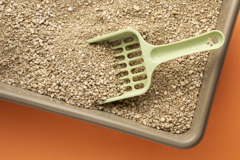 Qual areia higiênica escolher para gato em apartamento pequeno