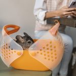 Pet shop com entrega rápida em São Paulo: quando vale escolher uma loja perto de você