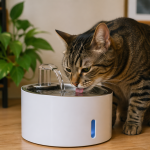 Fonte de água para gatos vale a pena? O que muda na rotina do felino