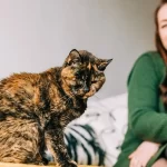 gata mais velha do mundo