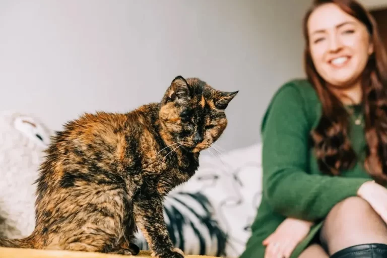 gata mais velha do mundo