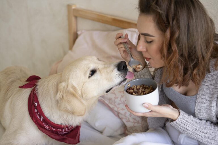 Como adaptar a alimentação do cachorro em dias frios