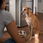 Cachorro enjoou da ração? Descubra as principais causas e soluções rápidas para ele comer com prazer de novo!