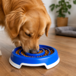 Seu cachorro engole a comida? O comedouro lento para cachorro pode mudar essa rotina